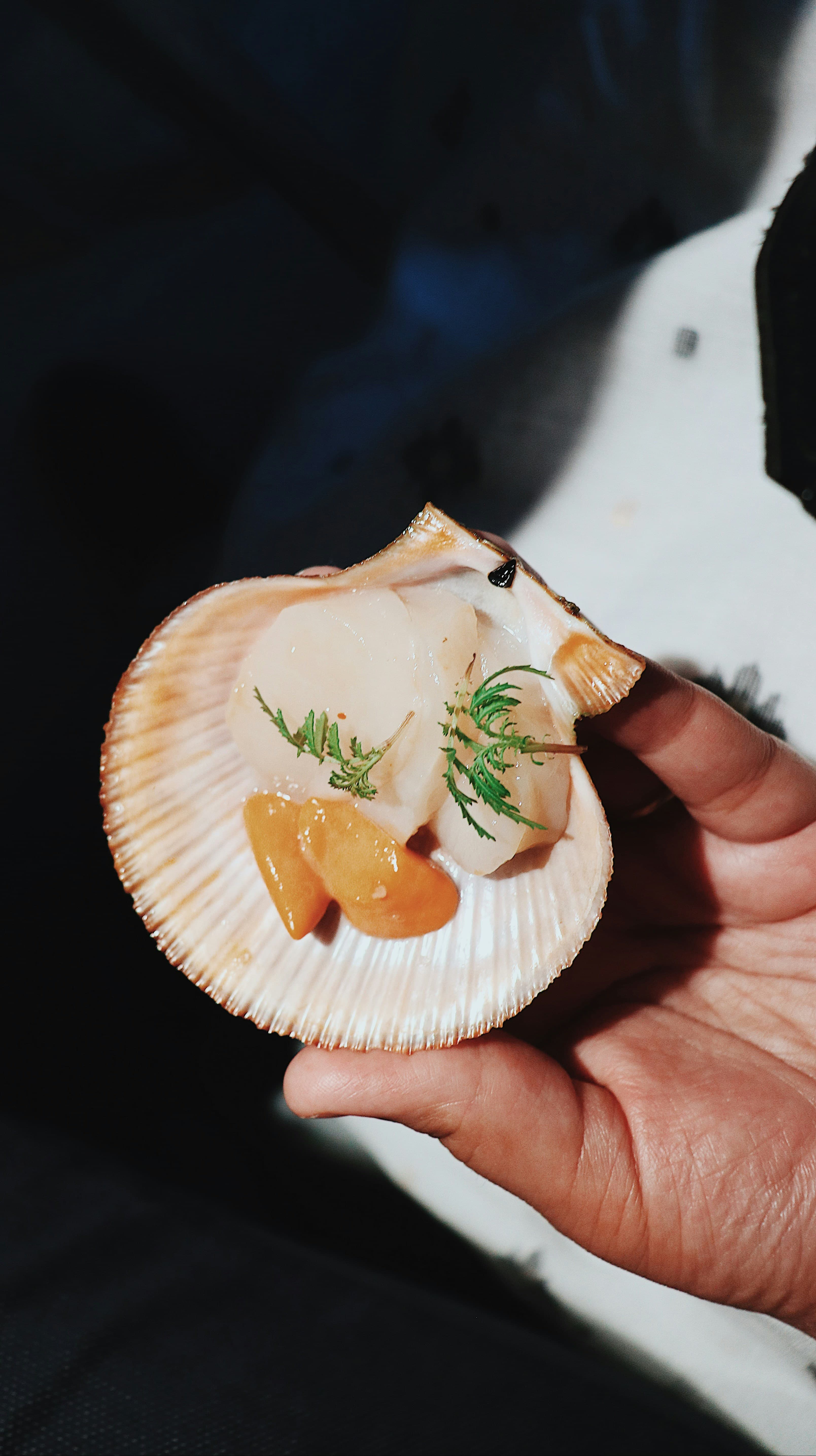 Riva Beach Club — Ristorante sul mare